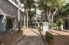 311/18 Danks Street, Waterloo, NSW 2017-Image