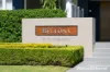 311/38 Peninsula Drive, Breakfast Point, NSW 2137-Image