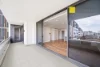312/1 Stedman Street, Rosebery, NSW 2018-Image
