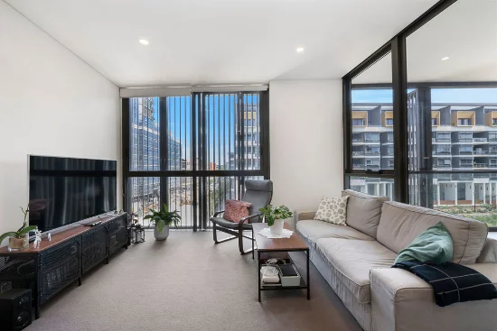 313/8 Sam Sing Street, Waterloo, NSW 2017