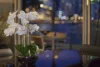 315/3 Darling Island Road, Pyrmont, NSW 2009-Image
