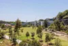 317/131 Ross Street, Forest Lodge, NSW 2037-Image