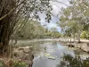32/251 Ashmore Road, Bundall, Qld 4217-Image