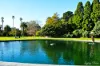 320/135  Inkerman Street, St Kilda, Vic 3182-Image