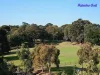 324/268 Pitt Street, Waterloo, NSW 2017-Image