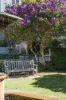 32B/2 Brady Street, Mosman, NSW 2088-Image