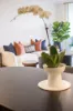 32B/2 Brady Street, Mosman, NSW 2088-Image