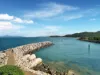 3301/146 Sooning Street, Nelly Bay, Qld 4819-Image