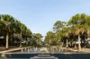 335/9 Crystal Street, Waterloo, NSW 2017-Image