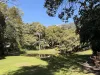 34/6 Campbell Street, West Perth, WA 6005-Image