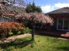 34A Echo Point Road, Katoomba, NSW 2780-Image