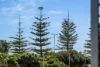 35/1 Freeman Loop, North Fremantle, WA 6159-Image