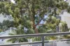 36/1 Blackadder Close, Chiswick, NSW 2046-Image