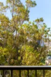 36/2-8 Park Avenue, Burwood, NSW 2134-Image