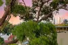 36/481-485 Parramatta Road, Leichhardt, NSW 2040-Image