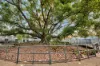 37/1 Rowe Avenue, Rivervale, WA 6103-Image
