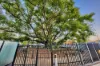 37/1 Rowe Avenue, Rivervale, WA 6103-Image