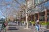 3702/61 City Road, Southbank, Vic 3006-Image