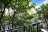 38/1 Wellington Crescent, East Melbourne, Vic 3002-Image
