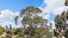 38/3 Russell Avenue, North Perth, WA 6006-Image