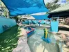 39/10 Alexanrda Avenue, Mermaid Beach, Qld 4218-Image