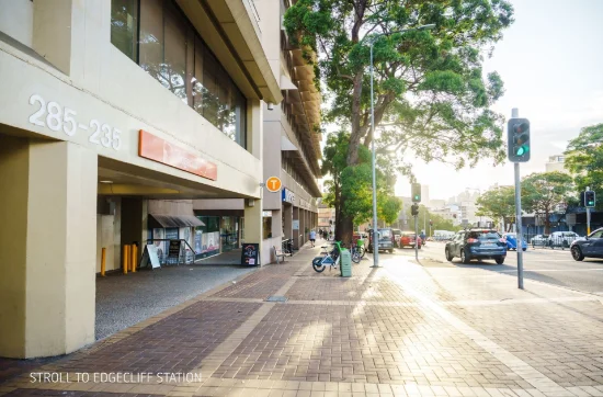 3a/7 St Marks Road, Darling Point, NSW 2027-Image