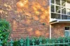4/11 Everton Road, Strathfield, NSW 2135-Image