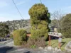4/12 Wallace Avenue, Lenah Valley, Tas 7008-Image