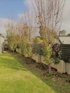 4/16 Town View Terrace, Margaret River, WA 6285-Image