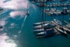 4/17-19 Waratah Street, Rushcutters Bay, NSW 2011-Image