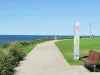 4/2-4 Kidman Street, Coogee, NSW 2034-Image
