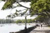 4/2 Powell Road, Rose Bay, NSW 2029-Image