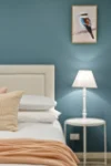 4/217 Northbourne Ave, Turner, ACT 2612-Image