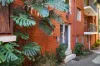 4/23 Palace Street, Ashfield, NSW 2131-Image