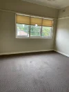 4/3 Rose Street, Ashfield, NSW 2131-Image