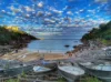 4/316, Clovelly NSW 2031-Image