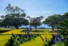 4/37 The Esplanade, Mosman, NSW 2088-Image