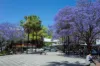 4/500 New South Head Road, Double Bay, NSW 2028-Image