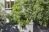 4/54 Hotham Street, St Kilda East, Vic 3183