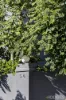 4/54 Hotham Street, St Kilda East, Vic 3183-Image