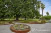 4/559 Glen Huntly Road, Elsternwick, Vic 3185-Image