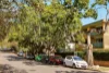 4/77 Moreton Street, New Farm, Qld 4005-Image
