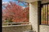 4/79 Torrens Street, Braddon, ACT 2612-Image