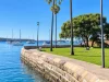 4 Ithaca Road, Elizabeth Bay, NSW 2011-Image