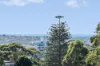 40/29-31 Paul Street, Bondi Junction, NSW 2022-Image