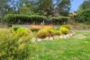 40/6 Heard Street, Mawson, ACT 2607-Image