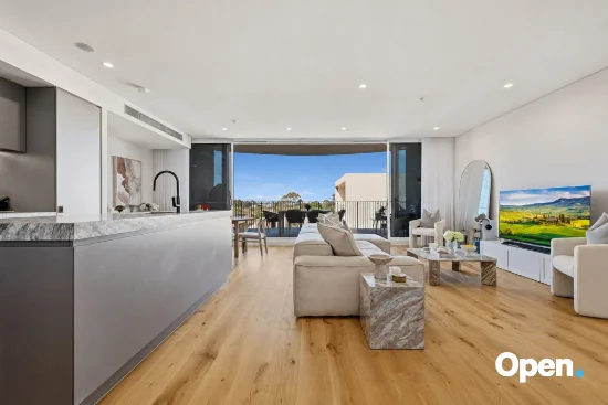 401/165B Milton Street, Ashbury, NSW 2193