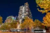401/78 Stirling Street, Perth, WA 6000-Image