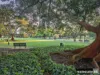 401/78 Stirling Street, Perth, WA 6000-Image