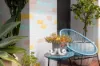 401/9-19 Myrtle Street, Botany, NSW 2019-Image